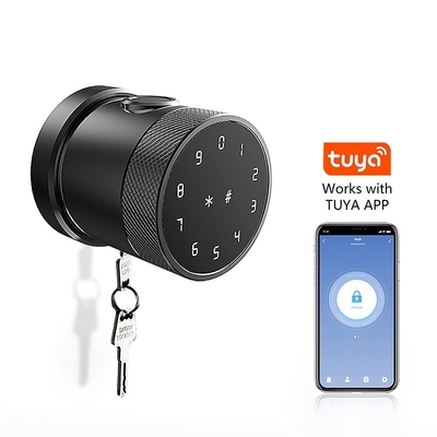 Draadloze Zinklegering Digitale elektronische vingerafdrukherkenning slimme deur slot met Tuya App of TTLock App GL-H4